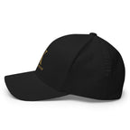 Saint Kingston Signature Cap — back view