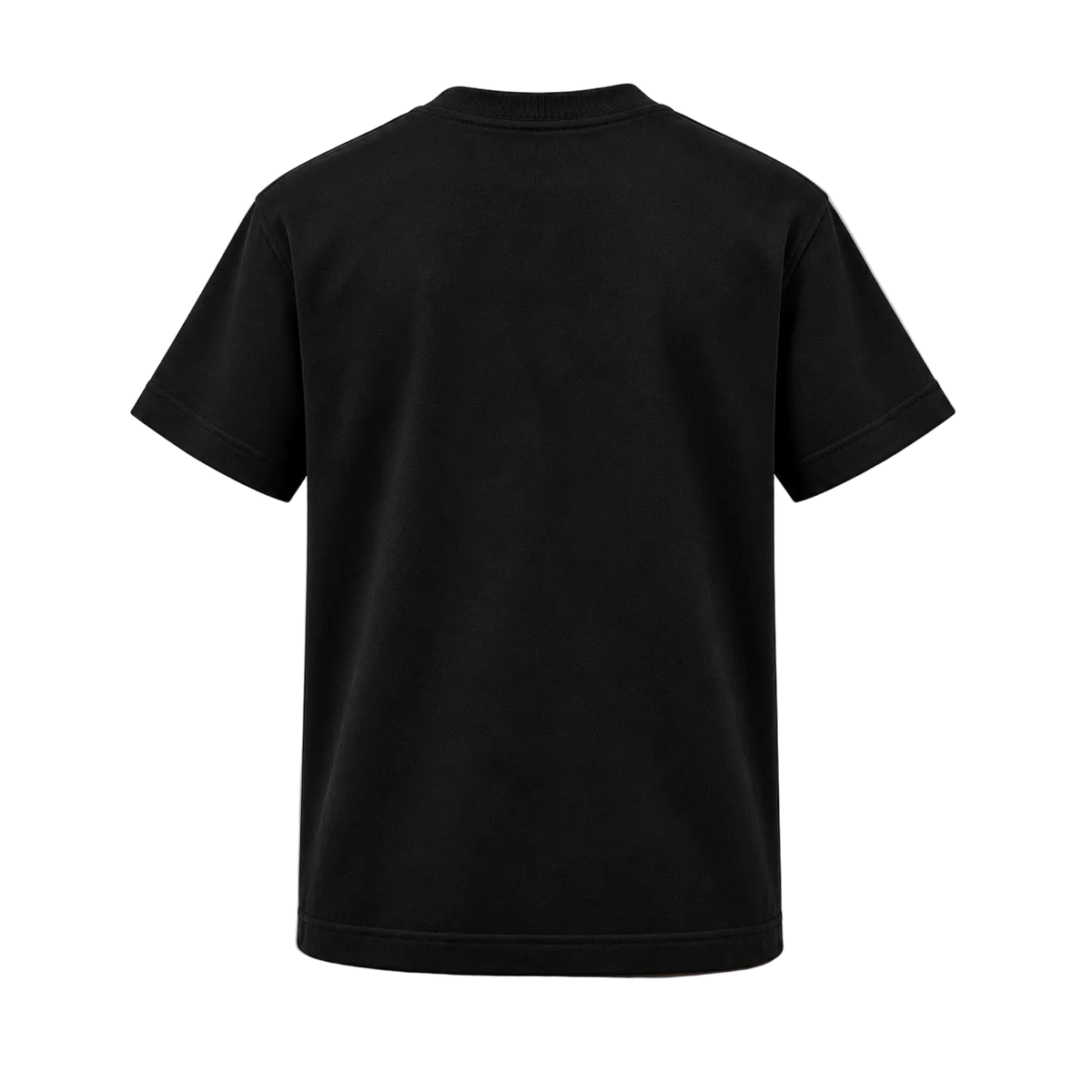 The Sovereign Box Tee by Saint Kingston — plain black back mockup